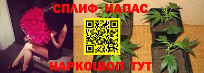 прущие грибы Гусев