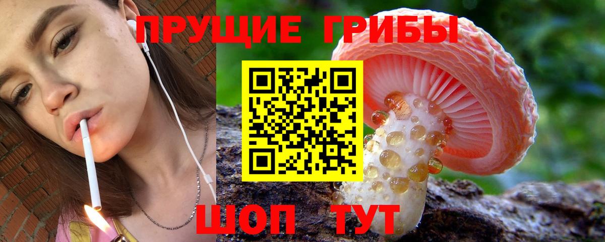 Псилоцибиновые грибы мухоморы Муром